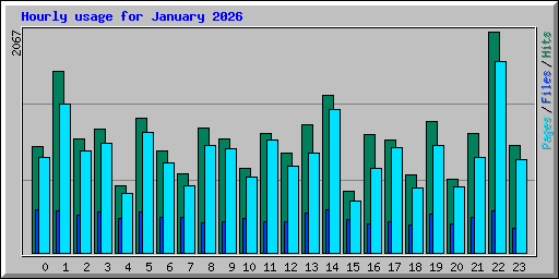 Hourly usage for January 2026